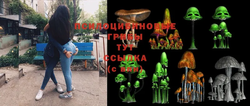 Псилоцибиновые грибы Magic Shrooms  Краснознаменск 